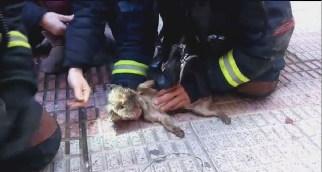 Bomberos de Cartagena extinguen un incendio en la planta baja de una vivienda de Santa Lucia - 1, Foto 1