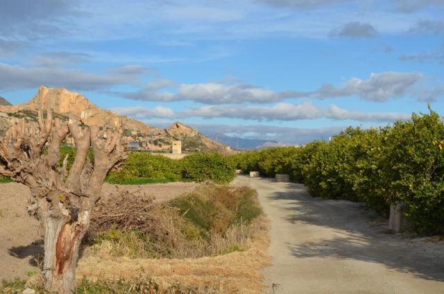 Los servicios municipales advierten de que la DIA de la autovía del bancal estaría caducada - 1, Foto 1