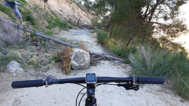 Investigadores de la UCAM desarrollan un algoritmo para detectar riesgos en el monte - 1, Foto 1