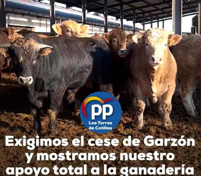 El PP de Las Torres de Cotillas pide la dimisión del Ministro de Consumo - 1, Foto 1