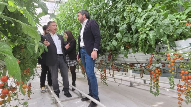 La Comunidad apuesta por la innovación, la digitalización y la sostenibilidad como referentes para transformar el sector agrario - 1, Foto 1