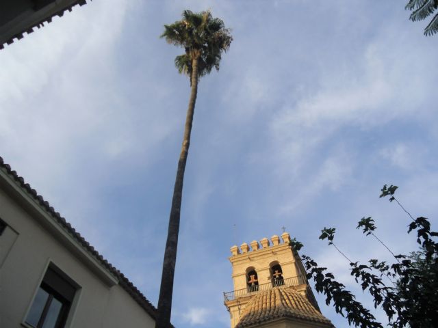 Preciosa herencia, Foto 1