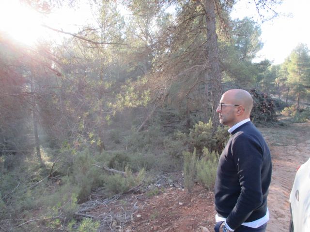 Trabajos de mejora forestal en la Sierra de Burete para una gestión sostenible del monte - 4, Foto 4
