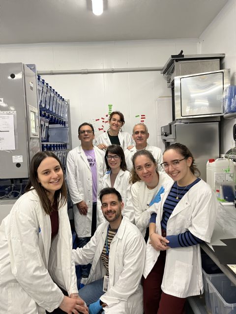 Una investigación de la UMU descubre un tratamiento potencial para la anemia de Diamond-Blackfan con fármacos ya existentes - 2, Foto 2