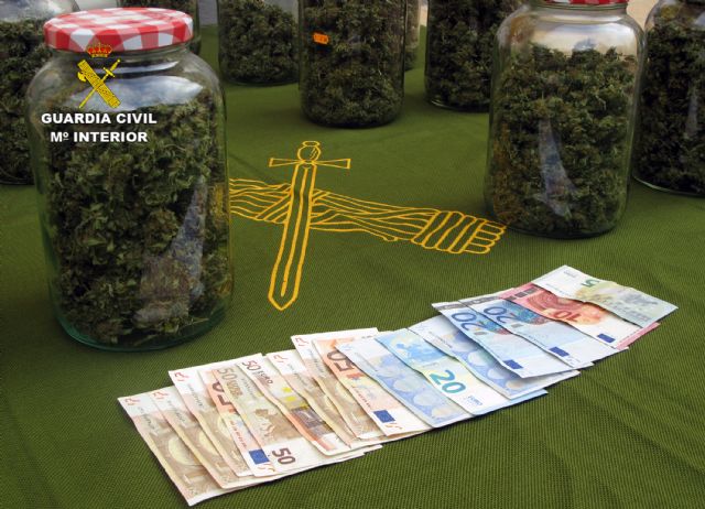 La Guardia Civil detiene a una persona dedicada a producir y distribuir marihuana a gran escala - 1, Foto 1