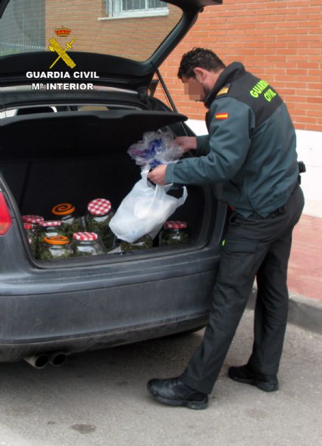 La Guardia Civil detiene a una persona dedicada a producir y distribuir marihuana a gran escala - 2, Foto 2