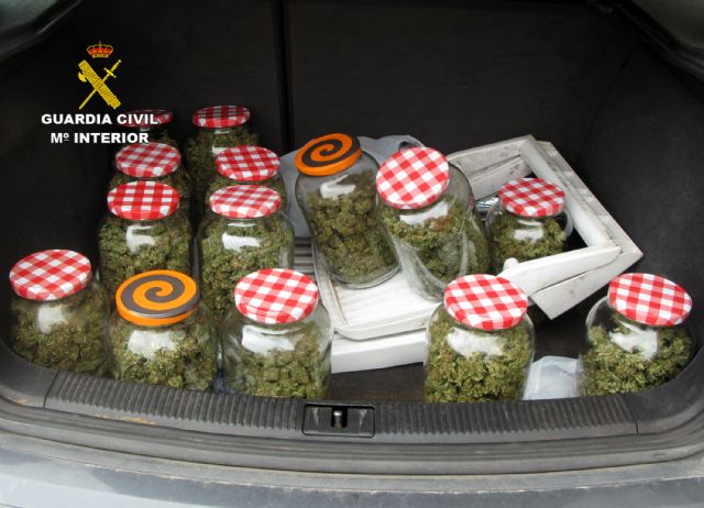 La Guardia Civil detiene a una persona dedicada a producir y distribuir marihuana a gran escala, Foto 4