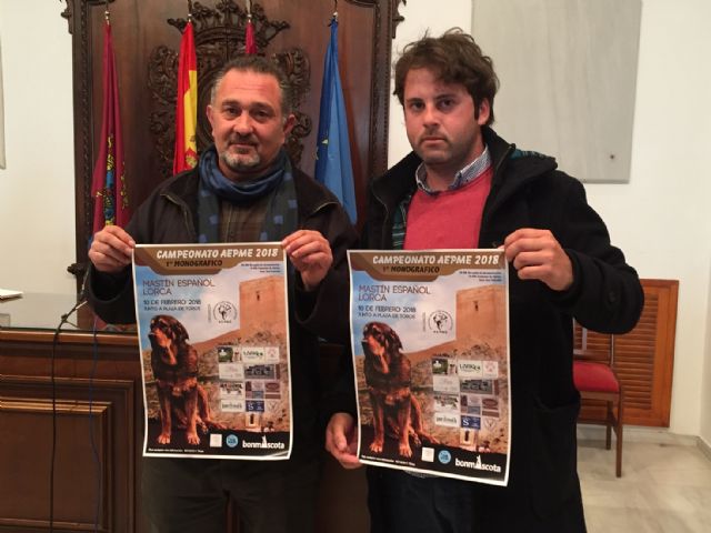 Las inmediaciones del Parque Pediatra Diego Pallarés acogen mañana el I Campeonato Monográfico de Mastín Español en el que participarán 50 ejemplares de toda España - 1, Foto 1