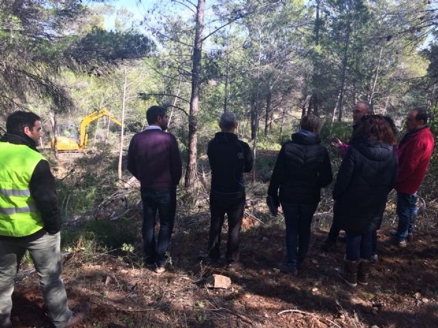 La Comunidad desarrolla trabajos de prevención de incendios con aprovechamiento de la biomasa sobre 391 hectáreas de Mula - 2, Foto 2