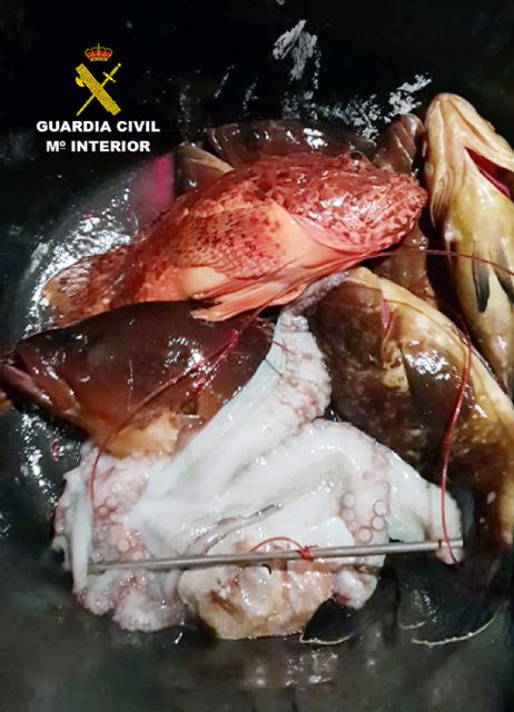 La Guardia Civil sorprende a dos pescadores furtivos en La Azohía-Cartagena - 3, Foto 3