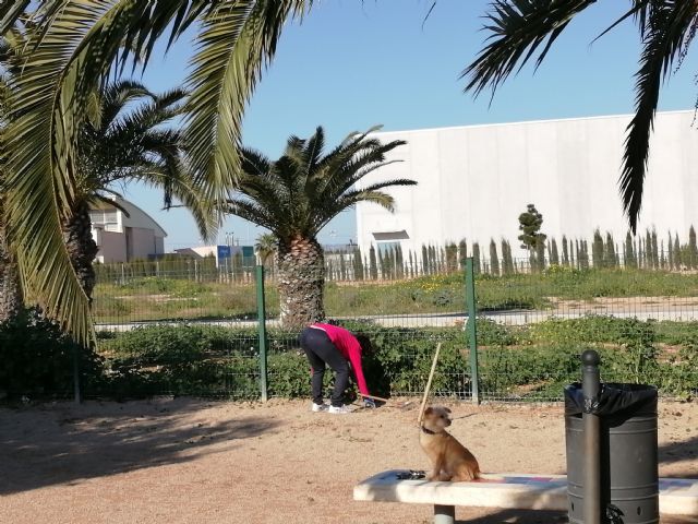 Vecinos de San Pedro del Pintar limpian el parque canino - 1, Foto 1