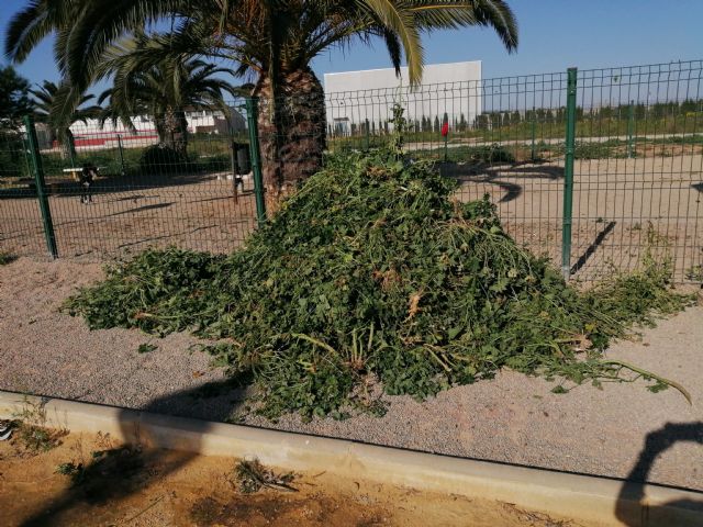 Vecinos de San Pedro del Pintar limpian el parque canino - 2, Foto 2