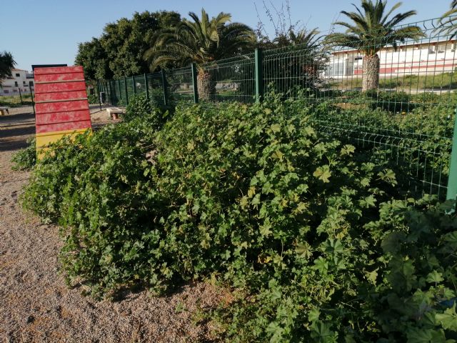 Vecinos de San Pedro del Pintar limpian el parque canino - 4, Foto 4