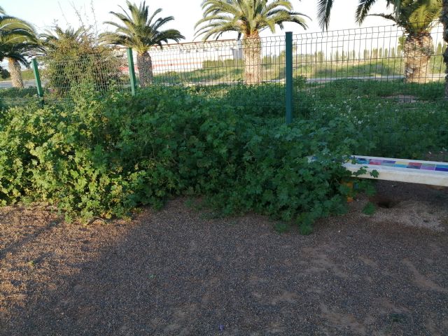 Vecinos de San Pedro del Pintar limpian el parque canino - 5, Foto 5