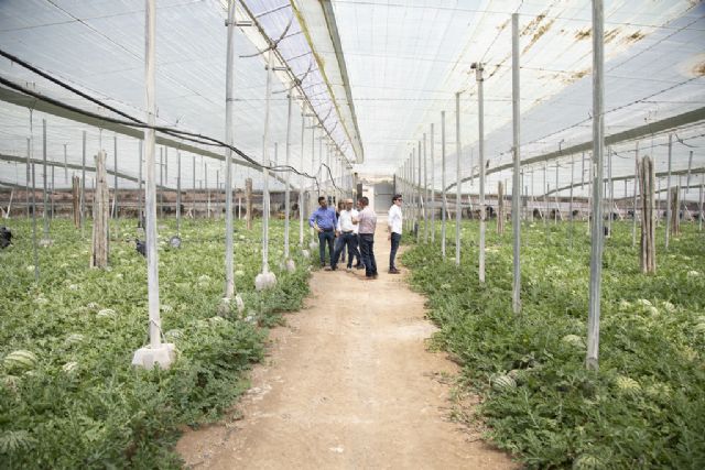 Unión de Uniones presenta alegaciones al PEPAC en defensa del agricultor profesional y exige la retirada de su Evaluación Ambiental Estratégica - 1, Foto 1