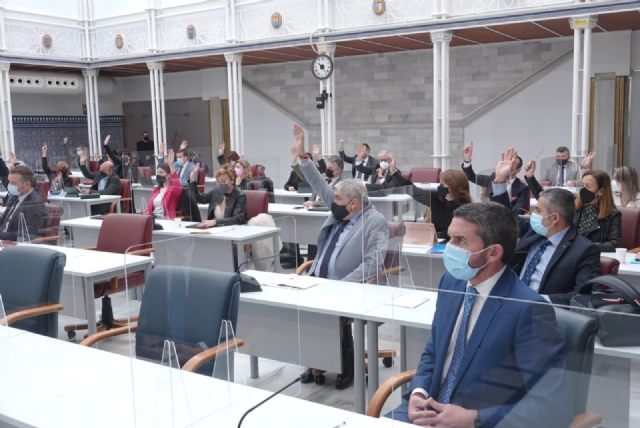 La Asamblea Regional condena los sucesos acaecidos en el Ayuntamiento de Lorca - 1, Foto 1