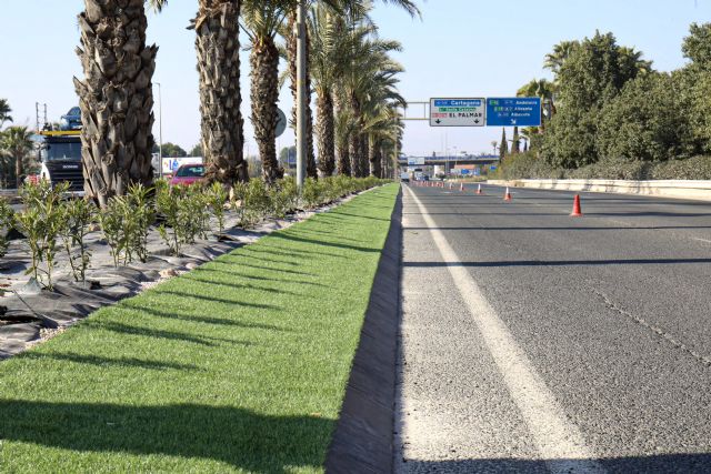 El Ayuntamiento acondiciona la mediana de Ronda Sur en el tramo entre Patiño y la rotonda de la avenida de Santa Catalina - 3, Foto 3