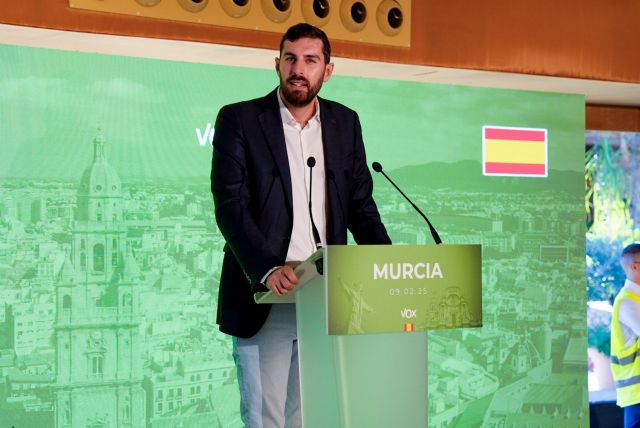 Abascal, sobre los Presupuestos Autonómicos de las regiones del PP - 4, Foto 4