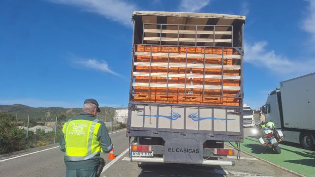 Tráfico controlará más de 1.000 camiones y autobuses esta semana para garantizar la seguridad en el transporte de mercancías y personas en la Región de Murcia - 2, Foto 2