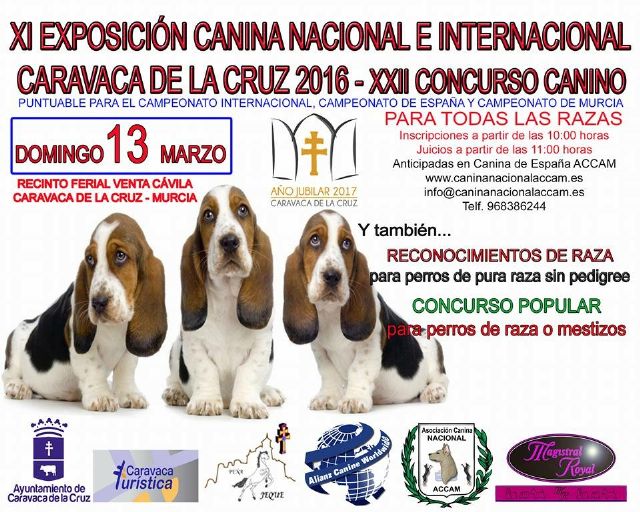 La XI exposición y el XXII Concurso Canino regresan este domingo al recinto ferial de Cavila - 2, Foto 2