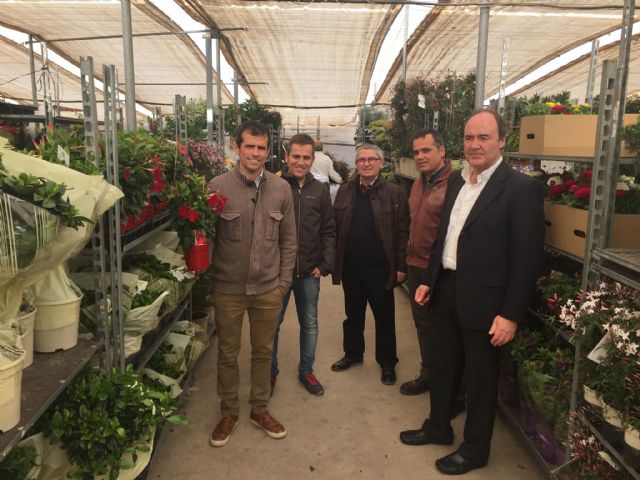 El director general de Producciones y Mercados Agrarios visita la cooperativa La Pacheca-sPalm - 1, Foto 1