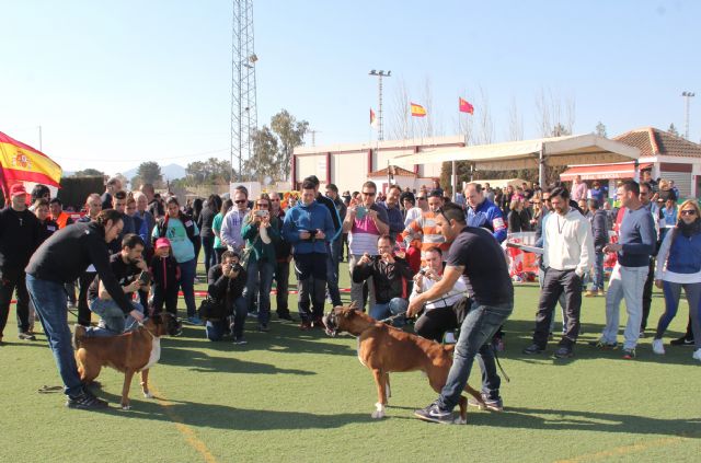 Puerto Lumbreras acogerá el VII Concurso Nacional Canino Ciudad de Puerto Lumbreras - 1, Foto 1