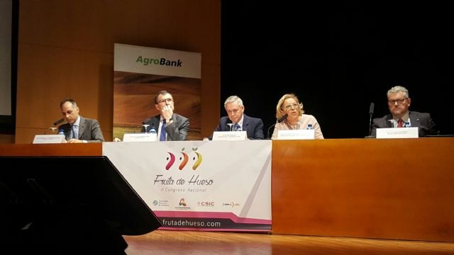 La Región de Murcia es la segunda provincia española en exportación de fruta de hueso - 1, Foto 1