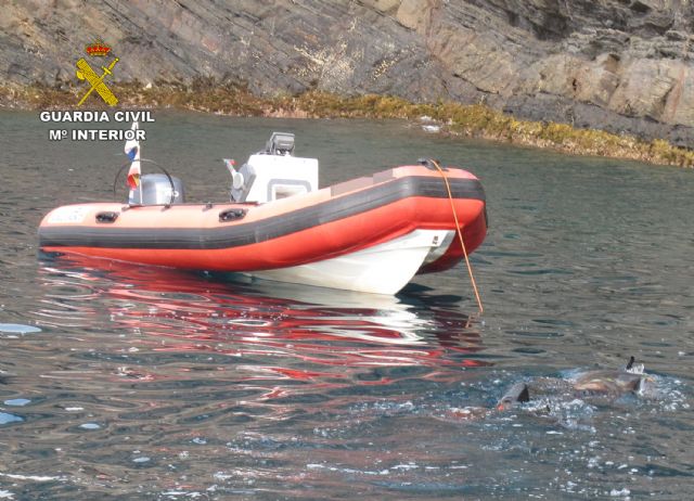 La Guardia Civil se incauta de 18 kilos de pulpo en aguas de Cartagena - 2, Foto 2