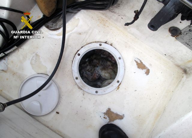 La Guardia Civil se incauta de 18 kilos de pulpo en aguas de Cartagena - 4, Foto 4