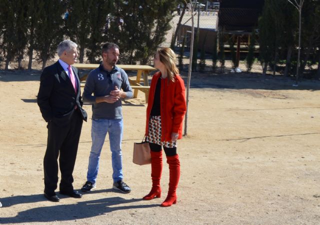 El director general de Deportes visita las últimos trabajos en las instalaciones deportivas municipales torreñas - 4, Foto 4