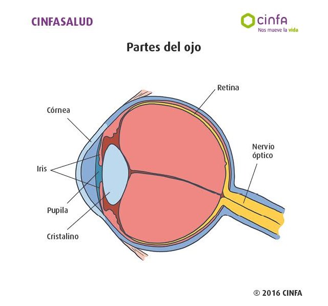 Claves para detectar y prevenir el glaucoma - 1, Foto 1