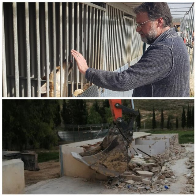 Saorín: Ya está en marcha la reconstrucción de las instalaciones de recogida de animales abandonados - 1, Foto 1