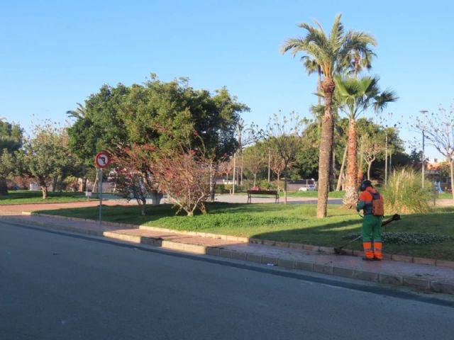 El Ayuntamiento lleva a cabo una actuación de limpieza en profundidad en Las Majadas - 3, Foto 3
