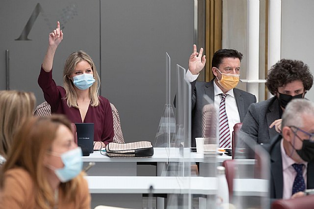 Ciudadanos insta al Gobierno regional a garantizar que las empresas pongan en marcha planes de igualdad - 1, Foto 1