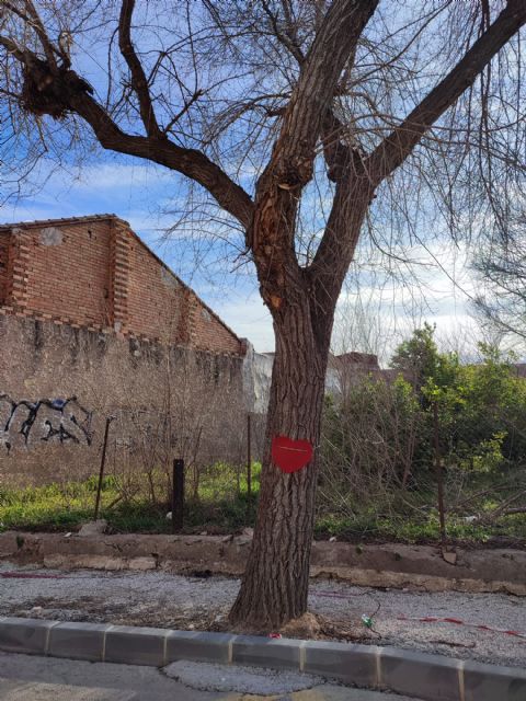 Corazones contra el arboricidio en Espinardo - 3, Foto 3