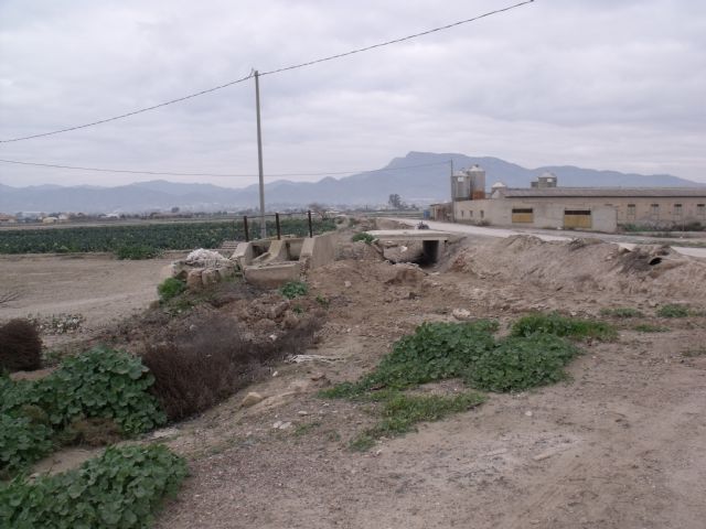 IU-Verdes Lorca exige un estudio exhaustivo del sector porcino y su correcta ordenación - 1, Foto 1