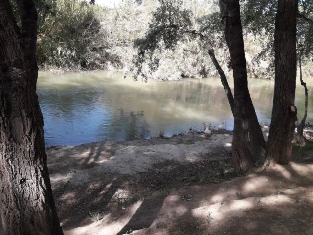 La Concejalía de Turismo de Molina de Segura organiza la visita guiada gratuita RUTA POR LOS SOTOS DEL RÍO SEGURA el sábado 13 de abril - 3, Foto 3