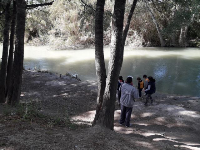 La Concejalía de Turismo de Molina de Segura organiza la visita guiada gratuita RUTA POR LOS SOTOS DEL RÍO SEGURA el sábado 13 de abril - 4, Foto 4