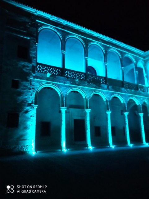 El Patio del Castillo Palacio de los Ribera de Bornos, se iluminó de color turquesa - 2, Foto 2