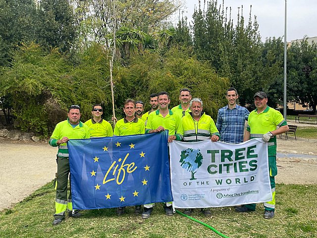 Cieza, reconocida por cuarto año consecutivo como municipio Tree Cities of the World por su compromiso con la conservación del arbolado y la biodiversidad urbana - 1, Foto 1