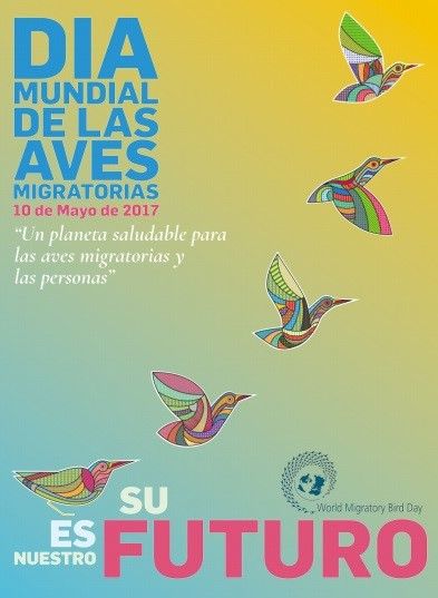Medio Ambiente organiza actividades en los espacios naturales con motivo del Día Mundial de las aves migratorias - 1, Foto 1