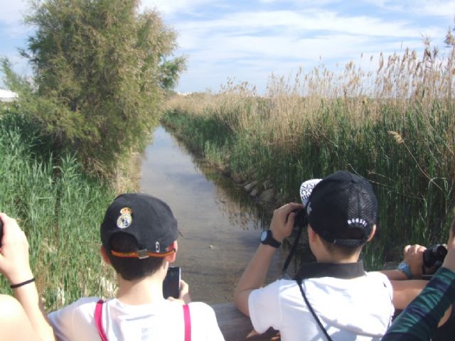 Medio Ambiente organiza actividades en los espacios naturales con motivo del Día Mundial de las aves migratorias - 2, Foto 2