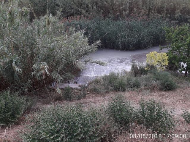 La Confederación Hidrográfica del Segura investiga dos vertidos al río Segura en Alcantarilla y Las Torres de Cotillas - 1, Foto 1