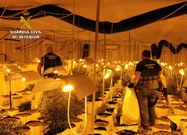 La Guardia Civil desmantela una plantación de marihuana en una nave industrial de Albudeite - 2, Foto 2