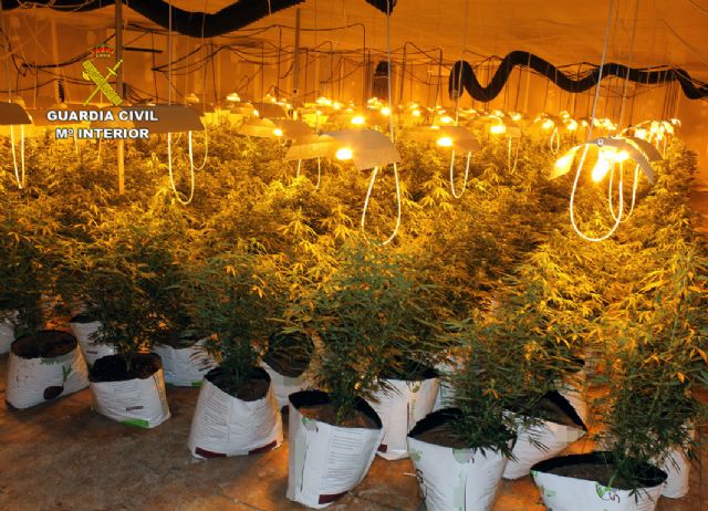 La Guardia Civil desmantela una plantación de marihuana en una nave industrial de Albudeite - 4, Foto 4