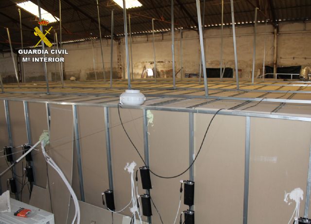 La Guardia Civil desmantela una plantación de marihuana en una nave industrial de Albudeite - 5, Foto 5