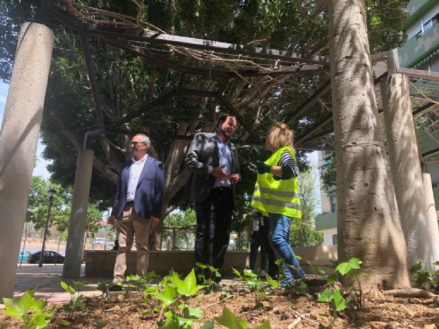 El concejal supervisa las actuaciones del ´Plan Hiedra´ - 1, Foto 1