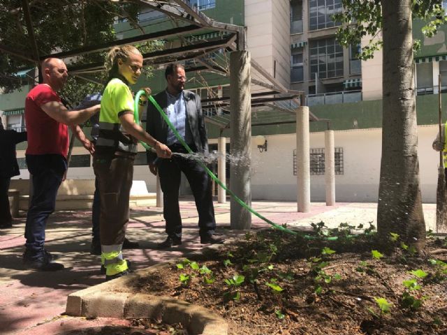 El concejal supervisa las actuaciones del ´Plan Hiedra´ - 2, Foto 2
