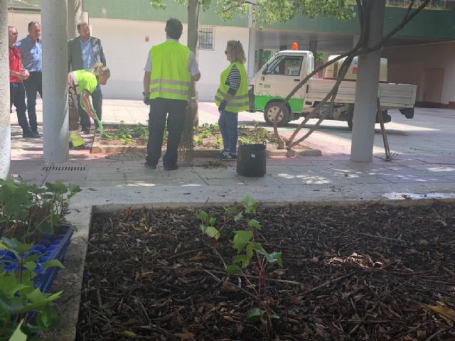 El concejal supervisa las actuaciones del ´Plan Hiedra´ - 3, Foto 3