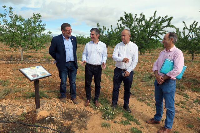 El cultivo de variedades de pistacho da buenos resultados en el Centro de Demostración Agraria 'Las Nogueras' de Caravaca - 2, Foto 2